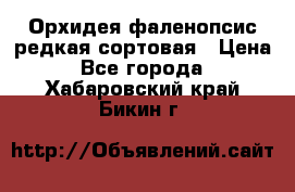 Орхидея фаленопсис редкая сортовая › Цена ­ 800 - Все города  »    . Хабаровский край,Бикин г.